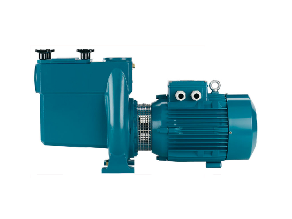 Calpeda A 65-150A/B-Self-Priming Centrifugal Pump With Open Impeller ...