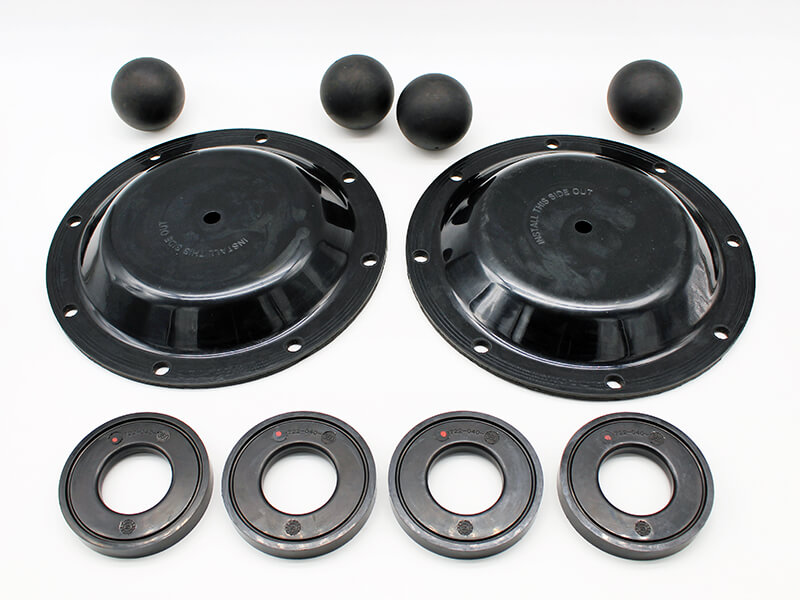 Wet side repair kit for a diaphragm pump