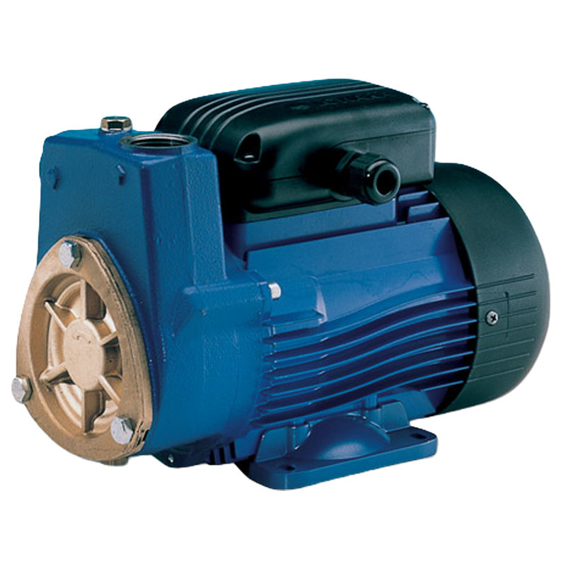 Lowara P and SP Series Peripheral Pumps