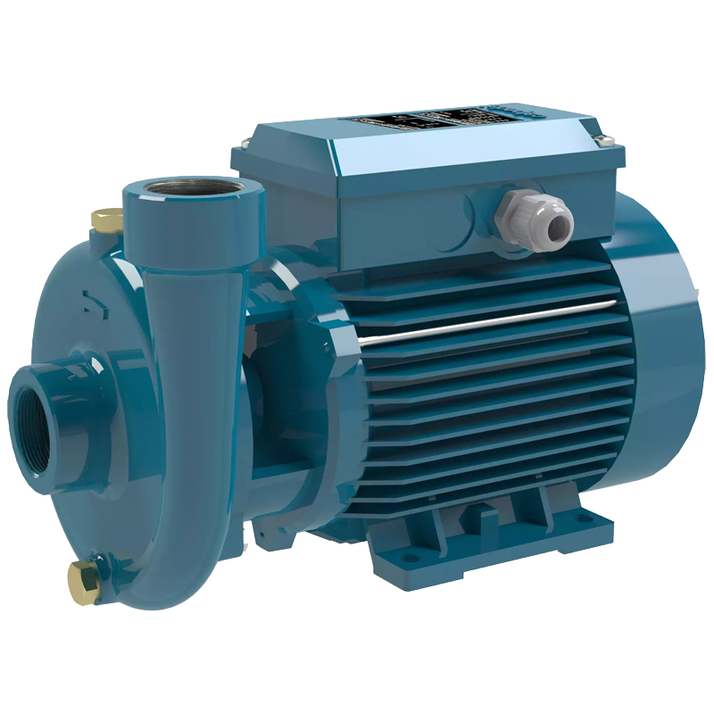 Calpeda C Series centrifugal pump for dirty liquids