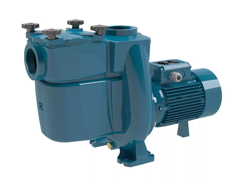 Calpeda NMP 32/12FE Cast Iron 0.75 HP Swimming Pool Pump 230v / 400v - 60D00021000 Calpeda NMP 32/12FE Cast Iron 0.75 HP Swimming Pool Pump 230v / 400v - 60D00021000
